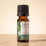 Aceite esencial puro de ravintsara