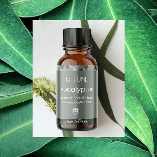 Aceite esencial de eucalipto + base