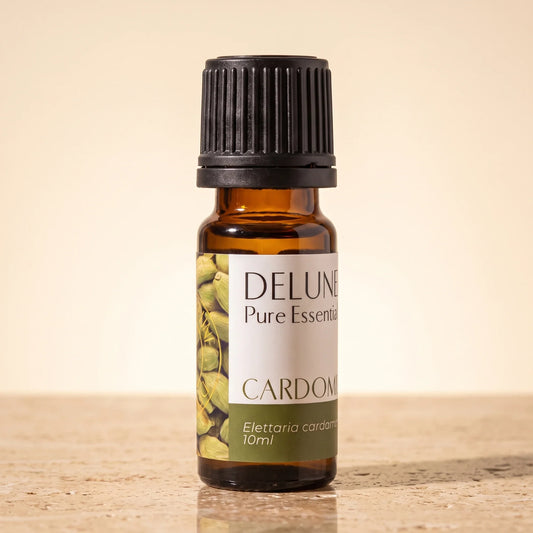 Aceite esencial puro de cardamomo