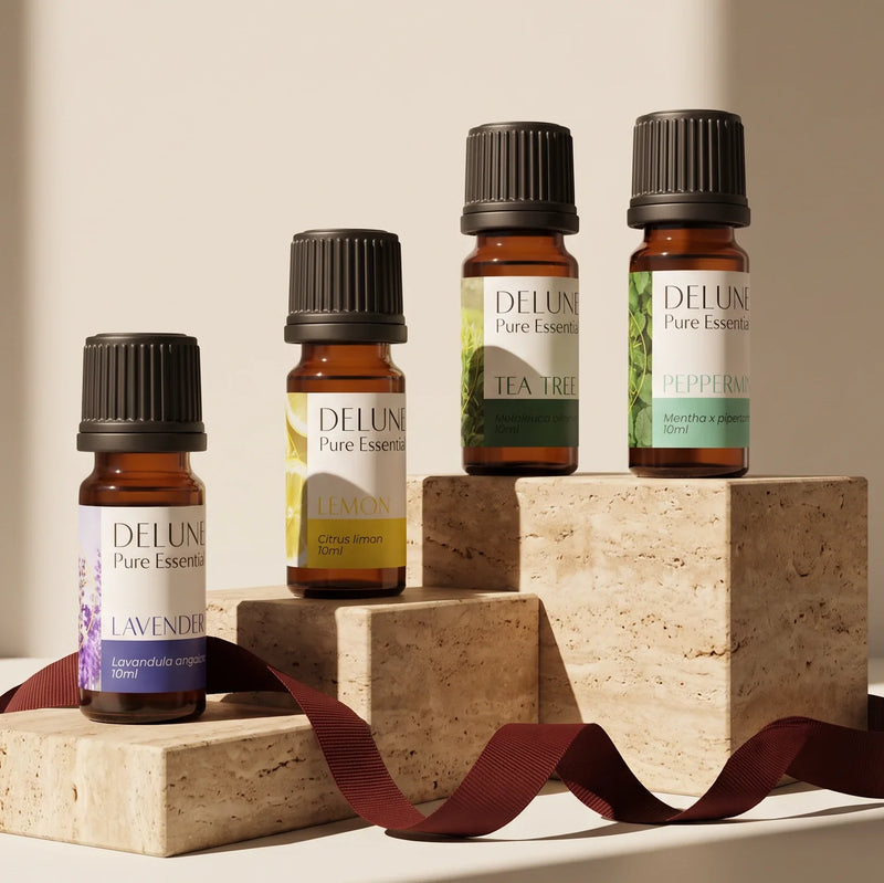 Essential Starters - Set de 4