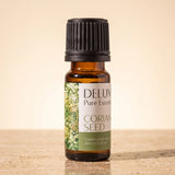 Aceite esencial puro de semilla de cilantro