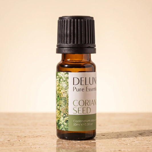 Aceite esencial puro de semilla de cilantro