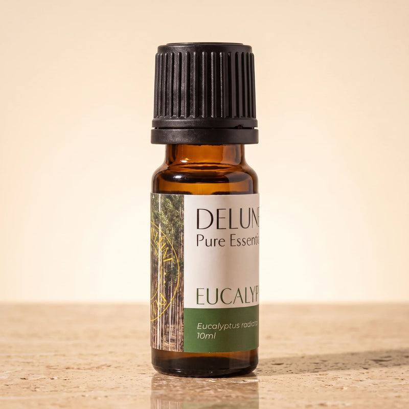 Frasco de vidrio ámbar de 10 ml del aceite esencial puro de eucalipto (Radiata) de Delune sobre piedra travertino cálida