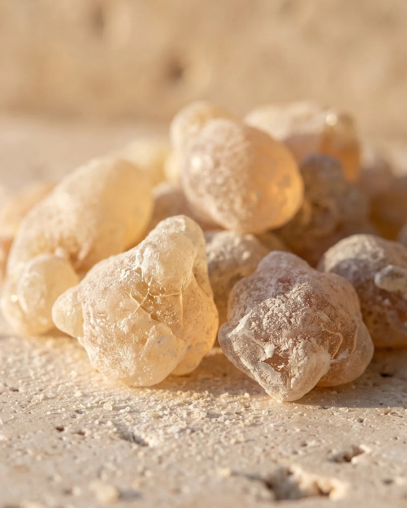 Lágrimas de resina de incienso en bruto, con un brillo ámbar miel a contraluz cálido, sobre travertino color hueso: el aroma cálido y resinoso del aceite esencial puro de incienso de Delune