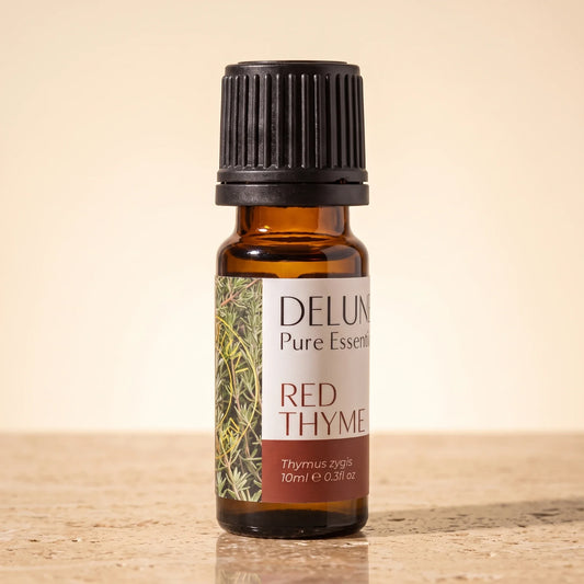Aceite esencial puro de tomillo rojo