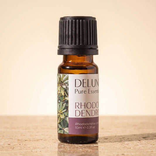 Aceite esencial puro de hoja de rododendro
