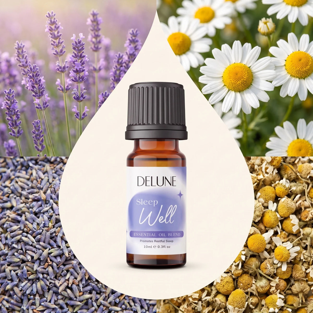 Mezcla de aceites esenciales Sleep Well de Delune rodeada de sus ingredientes: lavanda y manzanilla frescas y secas