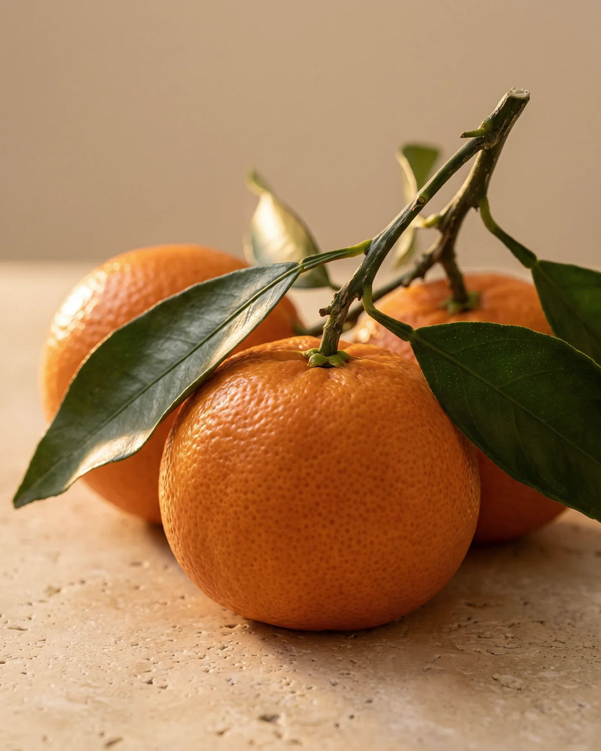 Mandarinas frescas enteras en una rama con hojas, bajo luz cálida sobre travertino: el aroma cítrico, dulce y luminoso del aceite esencial puro de mandarina de Delune