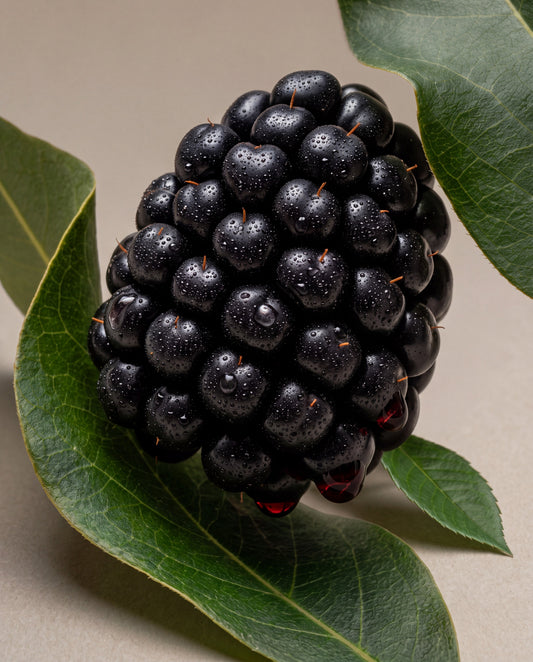 Notas aromáticas de Bramble & Blackberry: una zarzamora madura entre hojas de zarza
