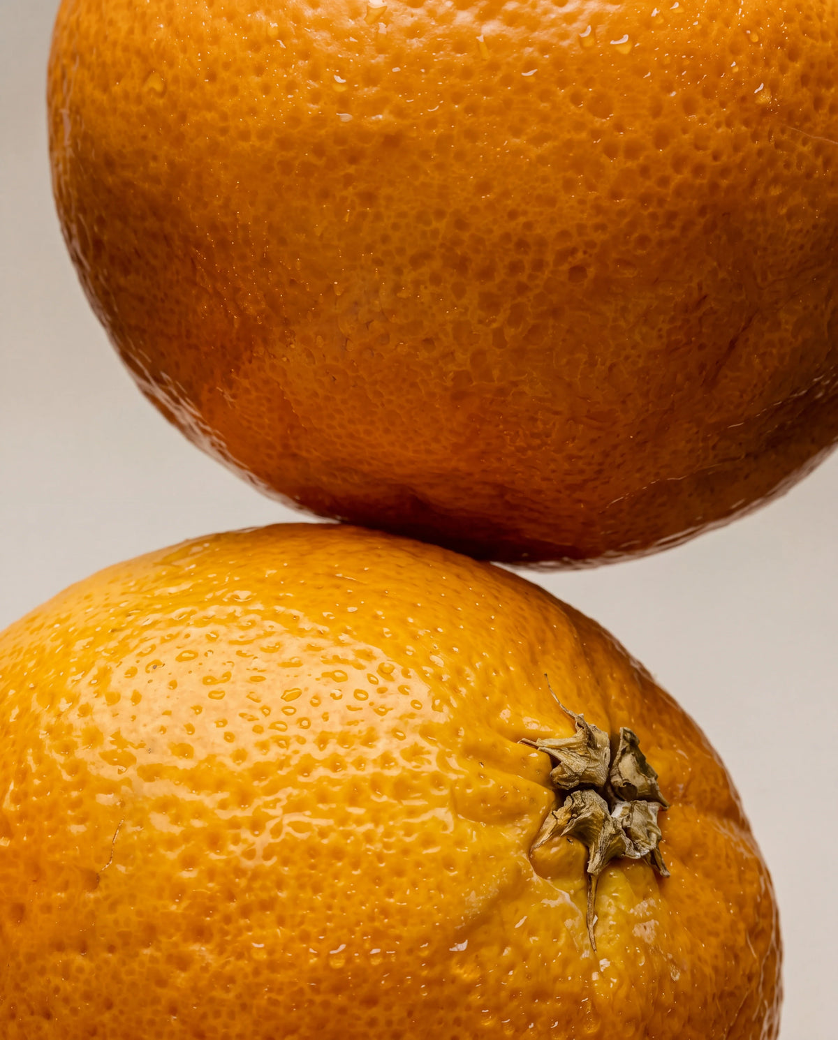 Notas olfativas de Grapefruit: dos cítricos maduros, uno sobre otro